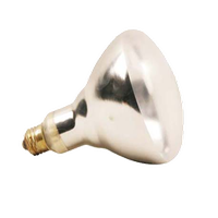 AllPoints 381135 Heat Lamp Bulb 250 Watt