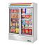 True GDM49FHCTSL01 Freezer Merchandiser 2 Section True