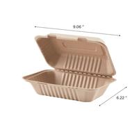 Custom KEBHC96N1CFF 1 Compartment 9x6 Bagasse Hinged Container 200CS