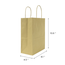 Custom FPSB100 8x10x4 Paper Shopping Bags Kraft 250ct