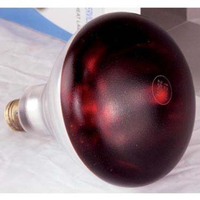 AllPoints 670206 Heat Lamp Bulb 250 Watt