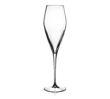 Bauscher Hepp 0874807 Champagne Sparkling Wine Glass 925oz Atelier 1dz